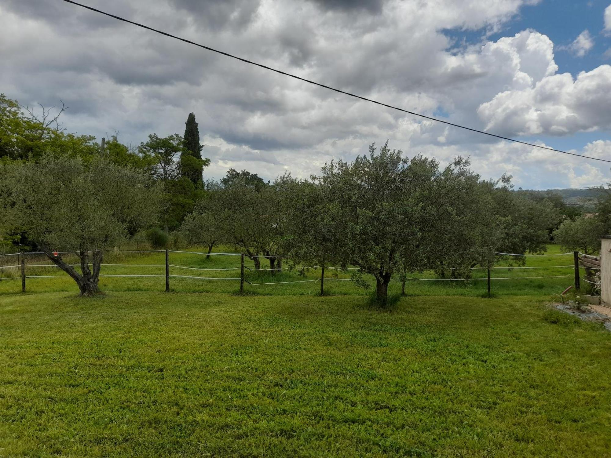Maison A La Campagne Volx Exteriör bild
